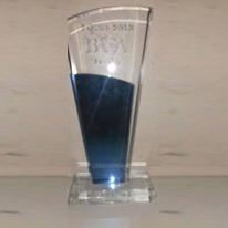 Maa Nursing Home Award Trophy 22