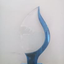 Maa Nursing Home Award Trophy 9